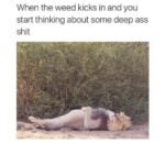27 Irresistibly Funny Memes That Are Pure Comedy Gold - FG.jpg