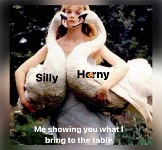30 Funny Stuff for Your Toilet Time Entertainment FG