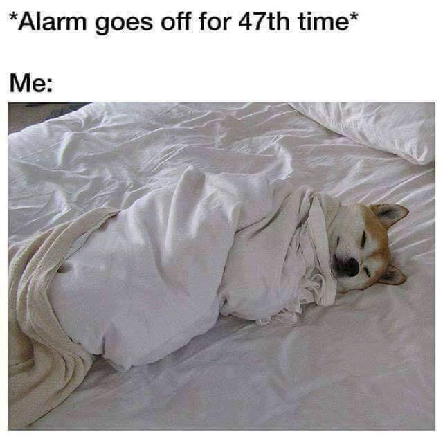 20 Sleep Memes for the Not-So-Morning People - Funny