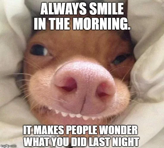 12 Funny Good Morning Memes for the Not-So-Early Birds 11 Always smile