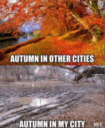 30 Fall Memes That Are as Colorful as the Falling Leaves - Funny