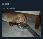 30 Rabbit Memes to Share the Hoppiness on International Rabbit Day ...