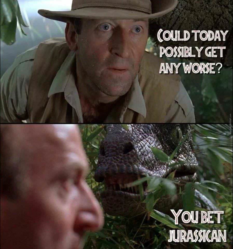 30 Tuesday Memes To Make Your Way Out Of Tuesday Snoozeday 18 Could today possibly get any worse