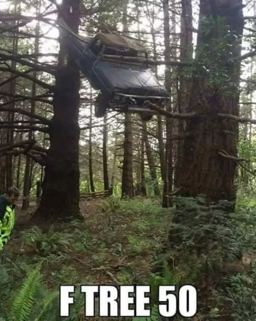 22 Ford Memes That Hit the Gas on Humor 4 F tree 50 - ford memes