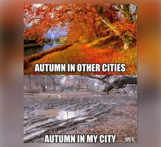 Fall Memes - FG