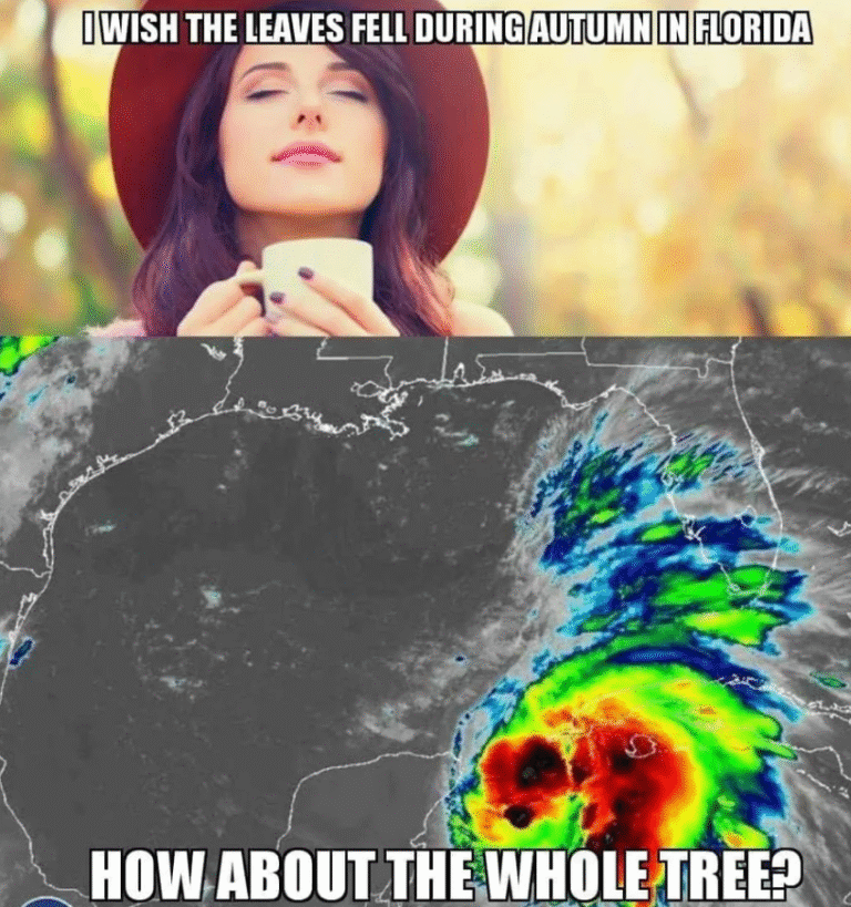 30 Fall Memes That Are as Colorful as the Falling Leaves - Funny