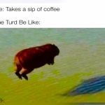 Funny Coffee Memes - FG