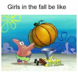 30 Fall Memes That Are as Colorful as the Falling Leaves - Funny