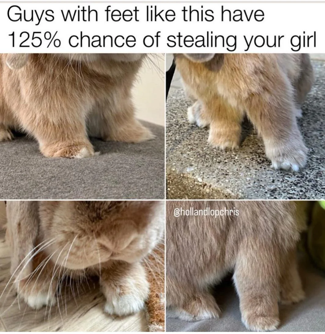 24 Rabbit Memes to Share the Hoppiness on International Rabbit Day! 23 Guys with feet like this