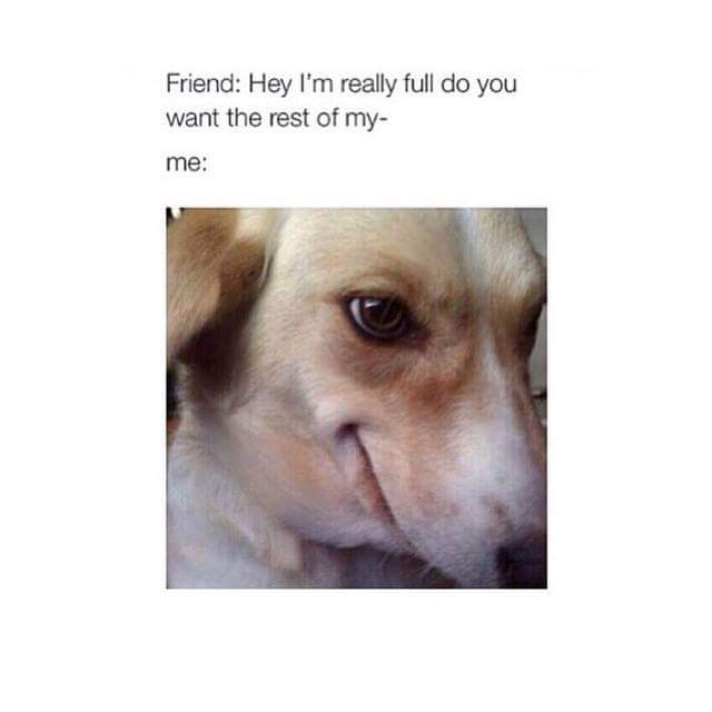 20 Deadpan Humor: Internet Gold for Chuckle Enthusiasts 4 Hey Im really full - Deadpan Humor