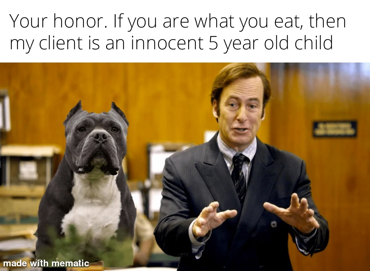 22 Pit Bull Memes for a Dose of Canine Comedy 21 I fyou are what you eat