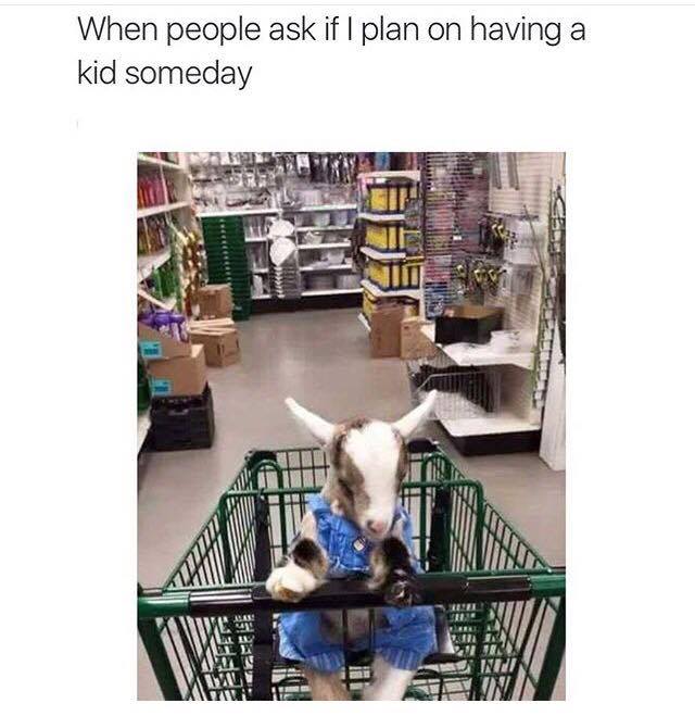 32 Irresistibly Funny Memes That Are Pure Comedy Gold 7 I plan of having a kid - Irresistibly Funny Memes