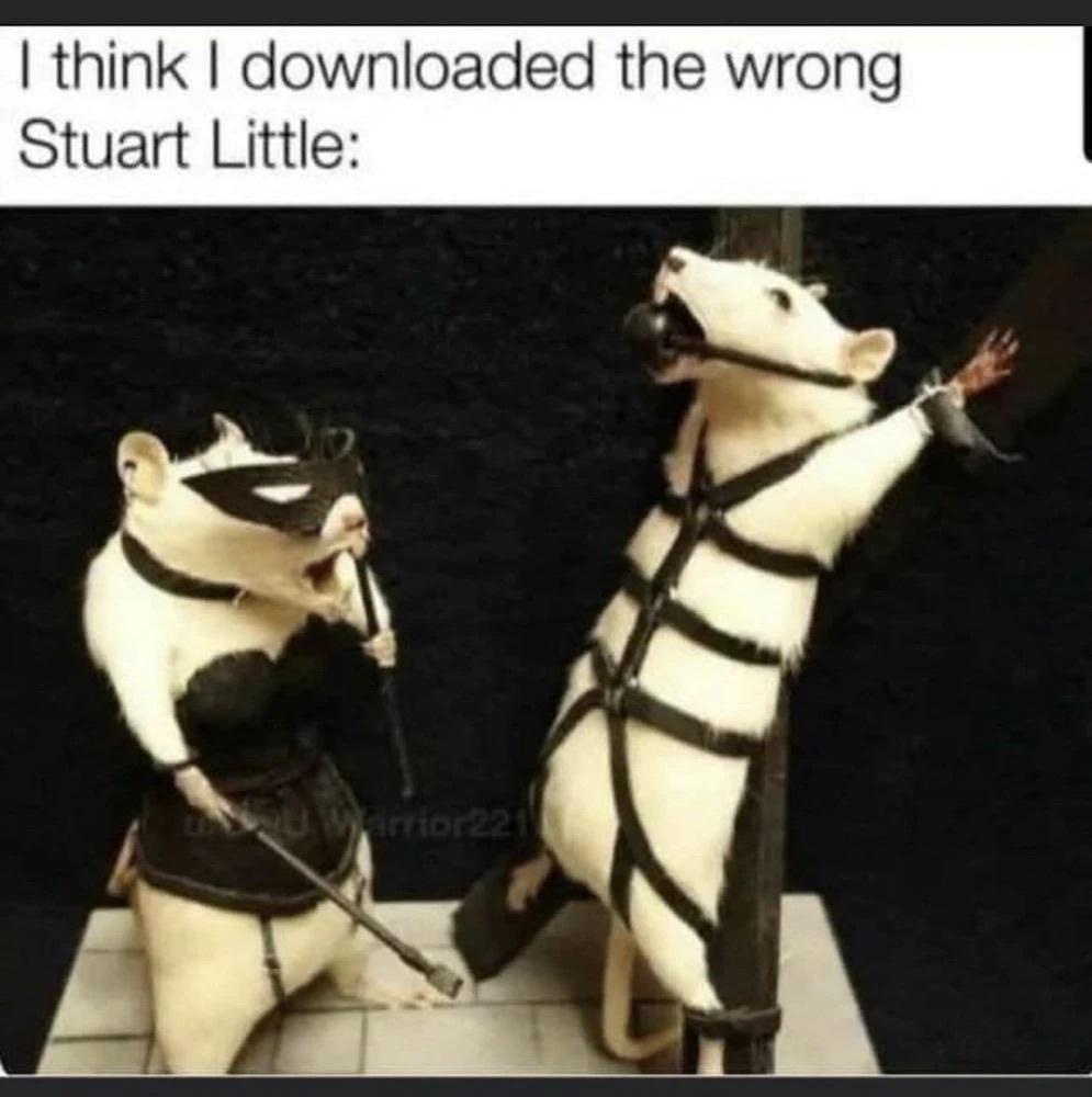 I think I downloaded the wrong Stuart Little 