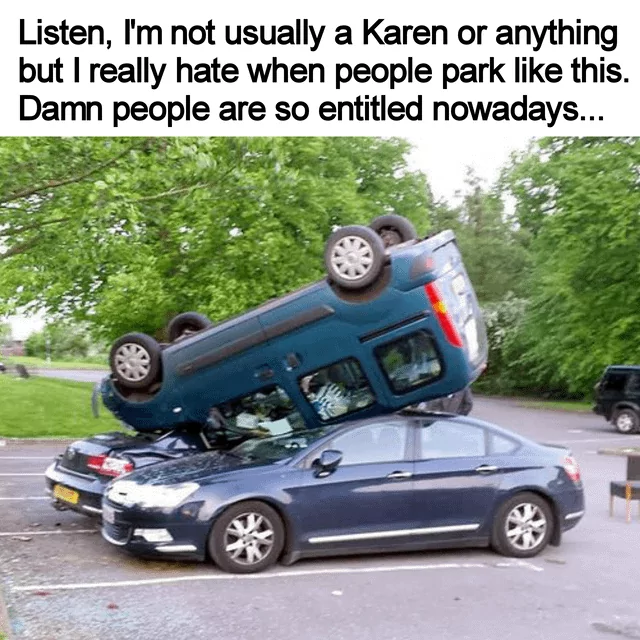 I'd Like To Speak To The Manager? 25 Funny Karen Memes 17 Im not usually a karen - karen memes