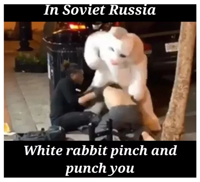 24 Rabbit Memes to Share the Hoppiness on International Rabbit Day! 6 In soviet russia - Rabbit Memes