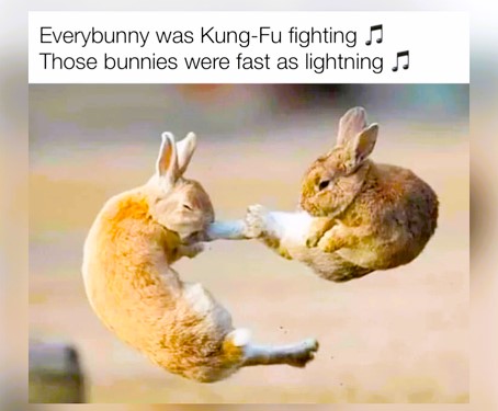 International Rabbit Day - FG