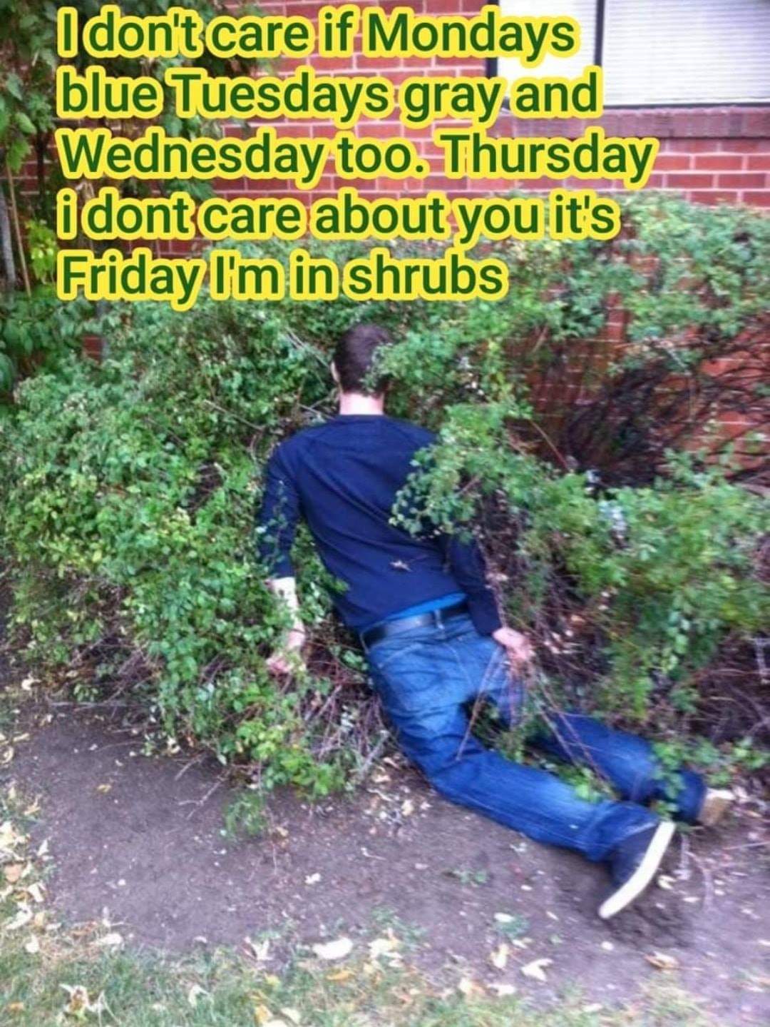 17 Finally Friday Memes to Get You in the Weekend Mood 4 Its friday Im in shrubs - Finally Friday Memes