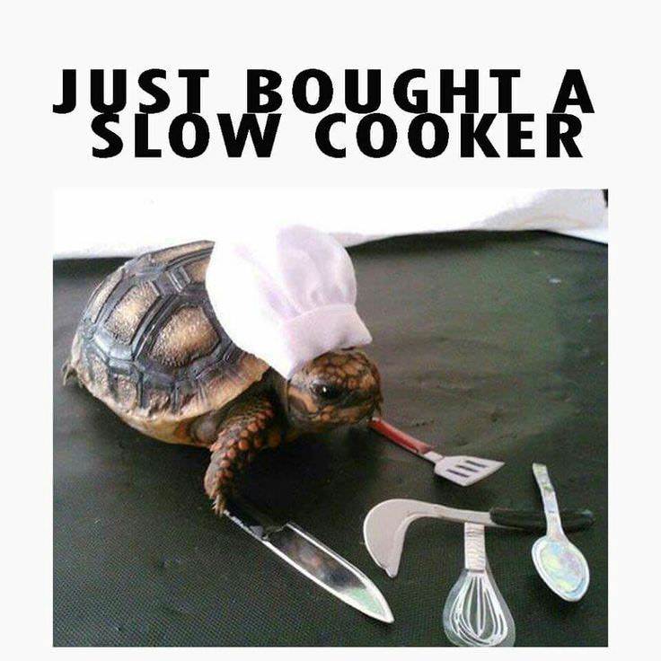 30 Tuesday Memes To Make Your Way Out Of Tuesday Snoozeday 19 Just brought a slow cooker