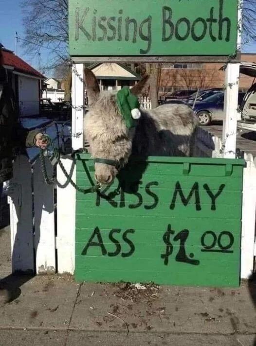 25 Quirky Humor Gems That Challenge Convention 8 Kissing Booth quirky humor