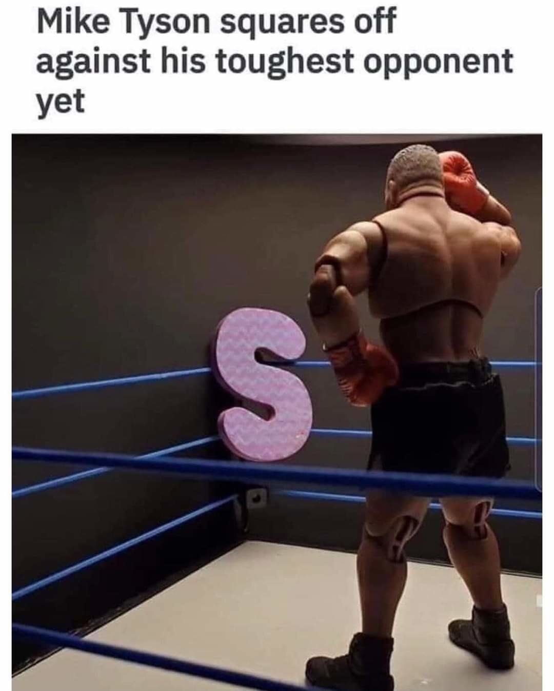 15 Hilarious Mike Tyson Memes That Will Knock You Out with Laughter 9 Mike tyson squares off against toughest opponent - mike tyson memes