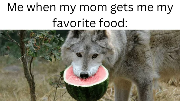 15 Wolf Memes That Will Make You Howl with Laughter 7 Mom gets my favorite food