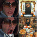 Fall Meme Scale 30 Fall Memes That Are as Colorful as the Falling Leaves - Funny