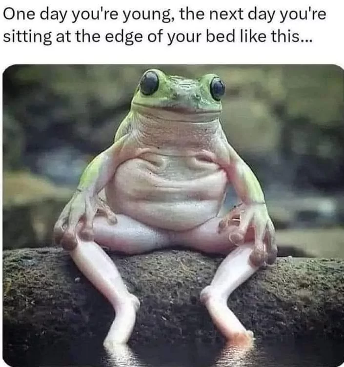 35 Funny Memes about Life That Hit Close to Home 16 One day youre young - Funny Memes about Life