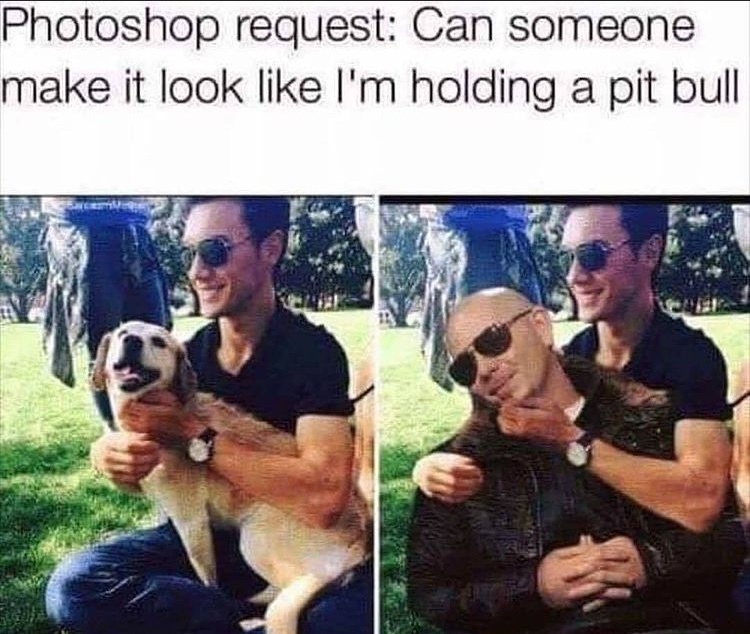 22 Pit Bull Memes for a Dose of Canine Comedy 10 Photoshop request - Pit Bull Memes
