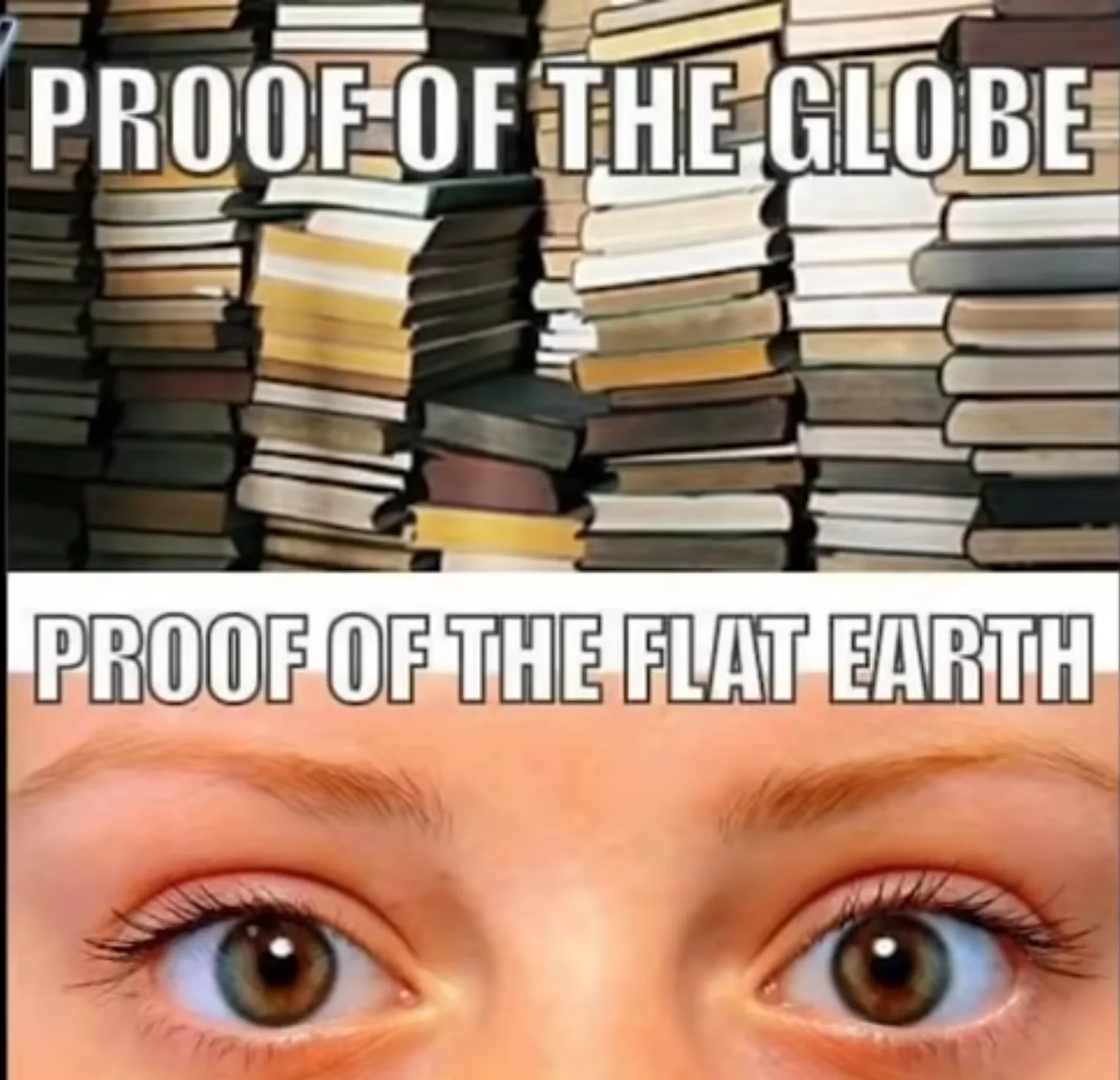30 Flat Earthers Memes: Laughing All the Way to the Edge 23 Proof of globe