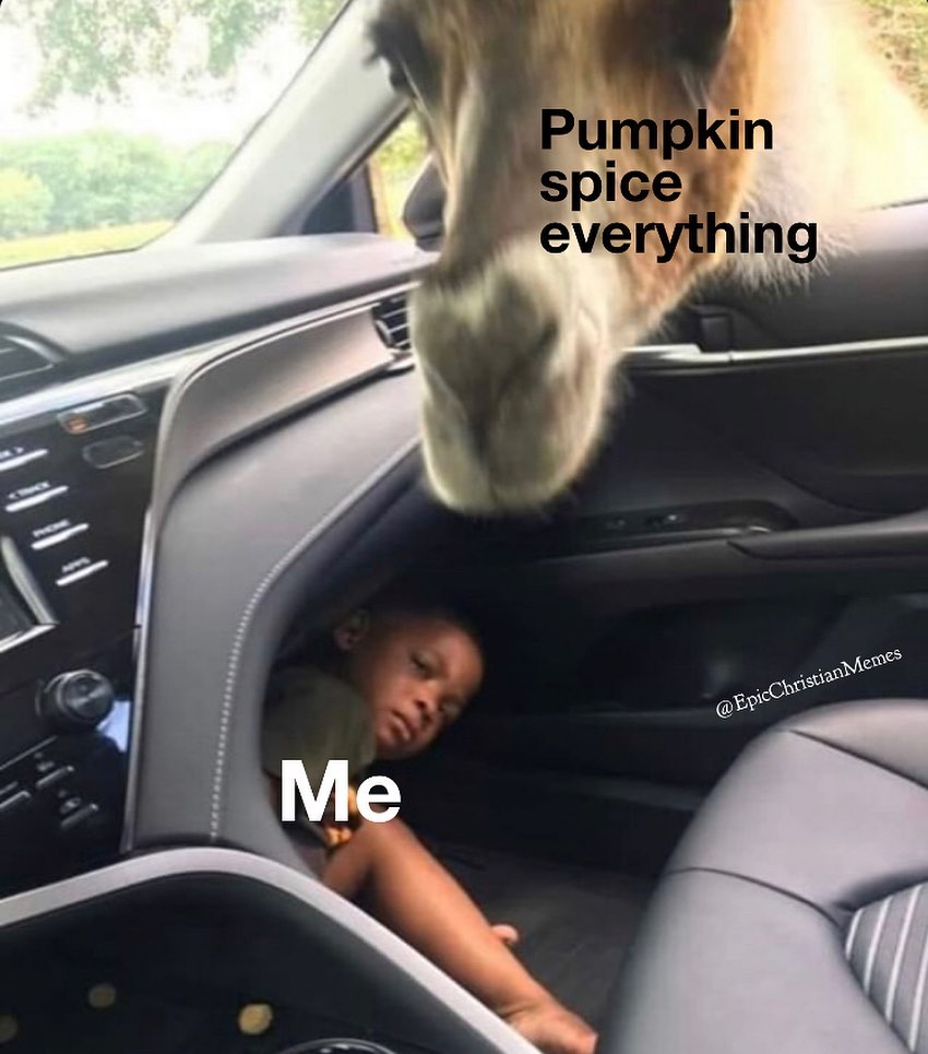 22 Pumpkin Spice Memes Guaranteed to Get You in the Fall Spirit 19 Pumpkin Spice Everything