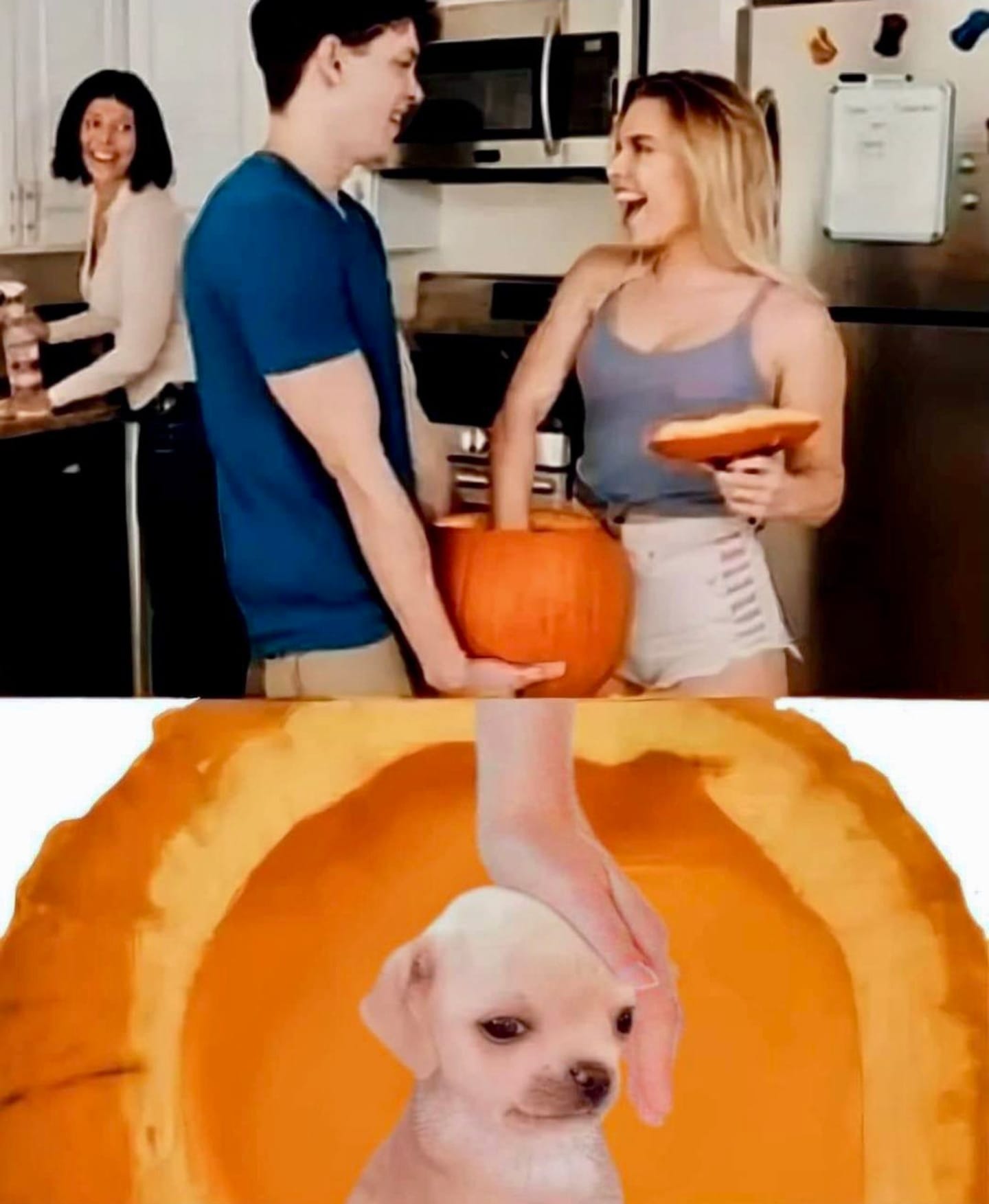 22 Pumpkin Spice Memes Guaranteed to Get You in the Fall Spirit 18 Pumpkin Spice Pranks