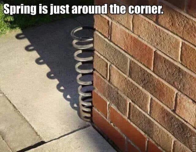 25 Quirky Humor Gems That Challenge Convention 11 Spring is just around the corner