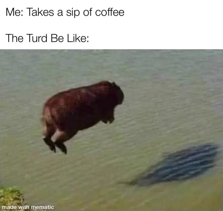 15 Funny Coffee Memes for Your Daily Fix 8 Takes a sip of coffee - Funny Coffee Memes