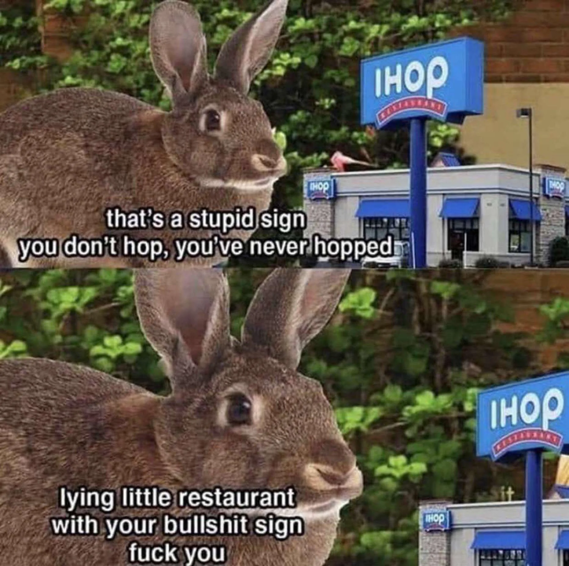 24 Rabbit Memes to Share the Hoppiness on International Rabbit Day! 24 Thats a stupid sign
