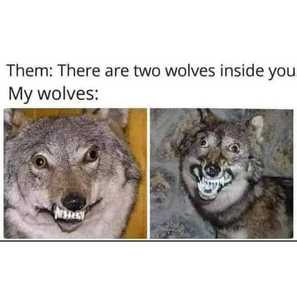 15 Wolf Memes That Will Make You Howl with Laughter - Funny
