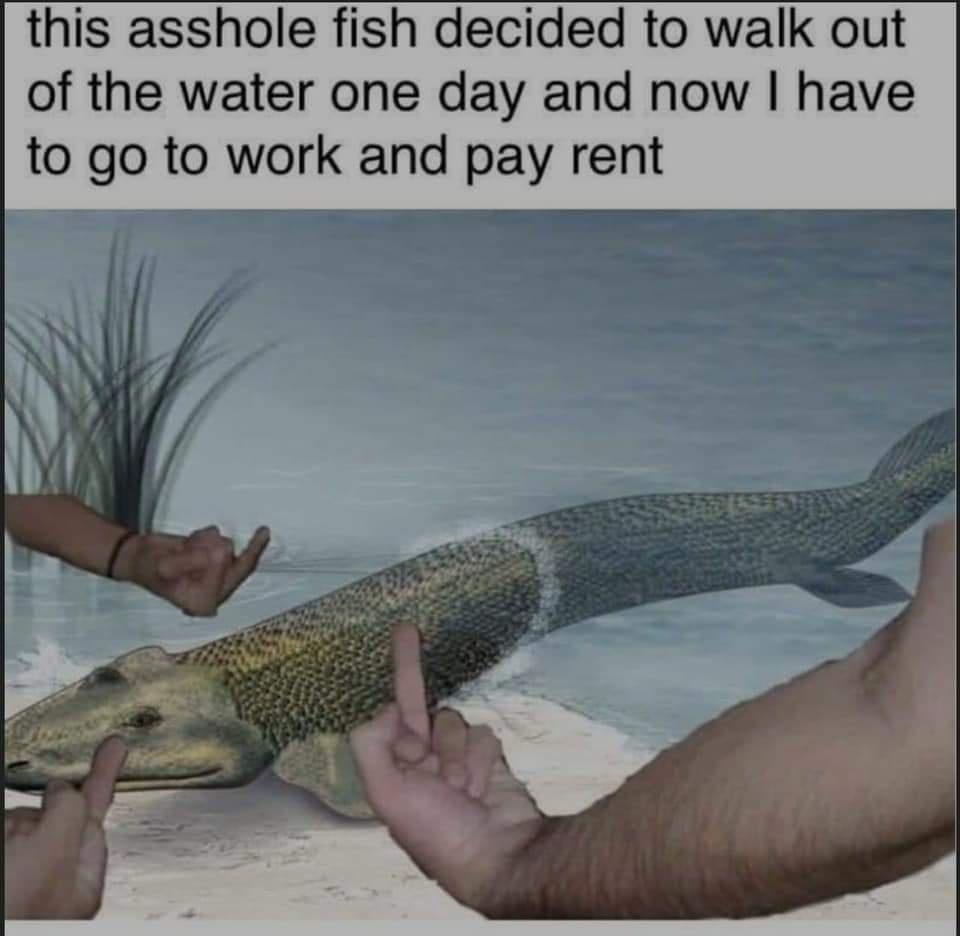 34 Tragic Millennial Memes That Summarize Millennial Life 24 This fish decided to walk out of water