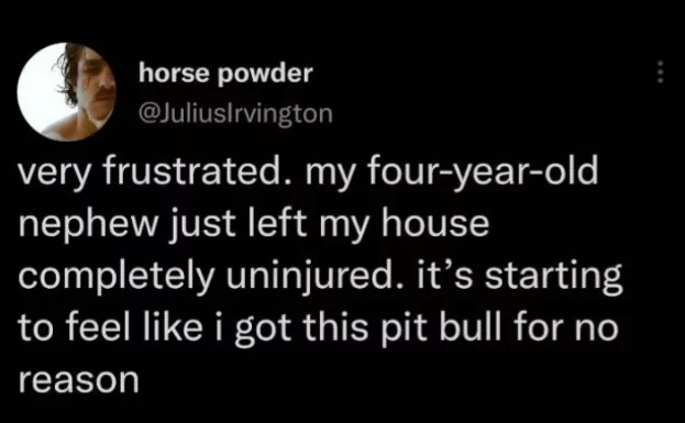 22 Pit Bull Memes for a Dose of Canine Comedy 15 Very frustrated - Pit Bull Memes