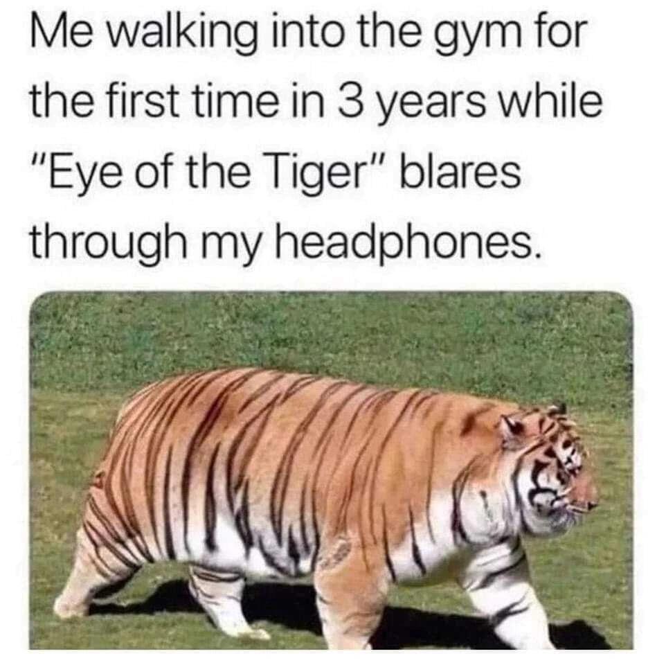25 Quirky Humor Gems That Challenge Convention 18 Walking into the Gym