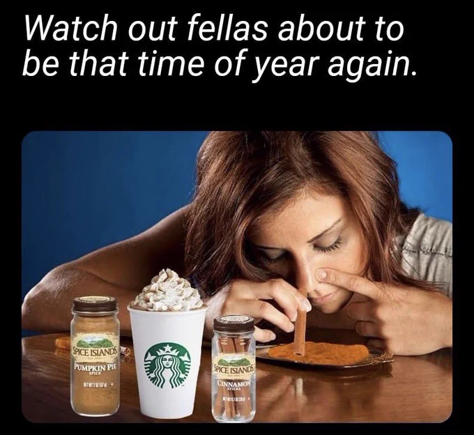 22 Pumpkin Spice Memes Guaranteed to Get You in the Fall Spirit 2 Watch out fellas