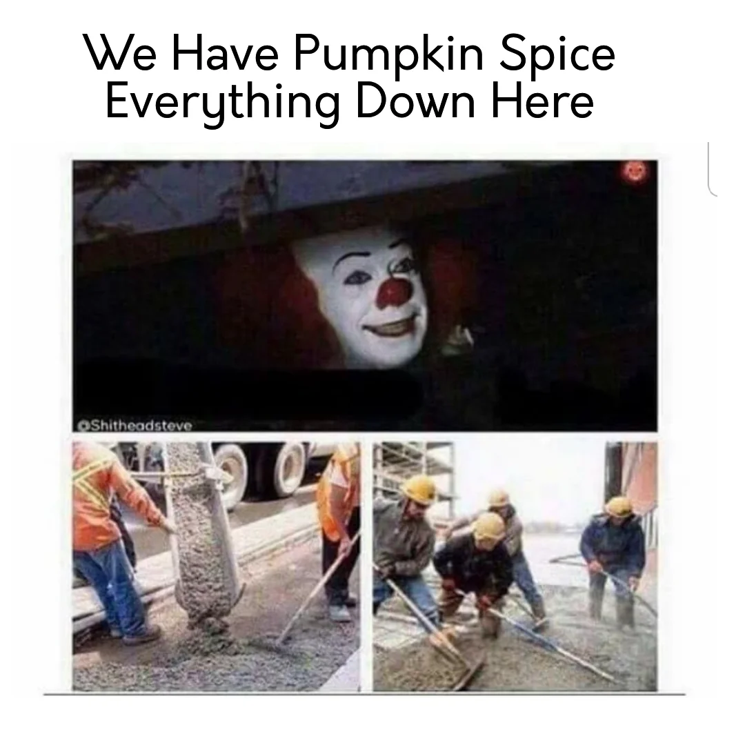22 Pumpkin Spice Memes Guaranteed to Get You in the Fall Spirit 21 We have pumpkin spice
