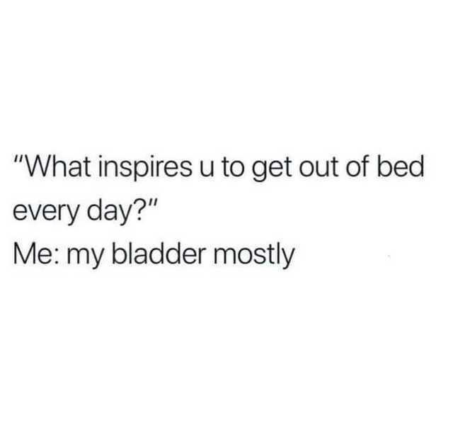 25 Sleep Memes for the Not-So-Morning People 15 What inspires you to get out of bed - Sleep Memes