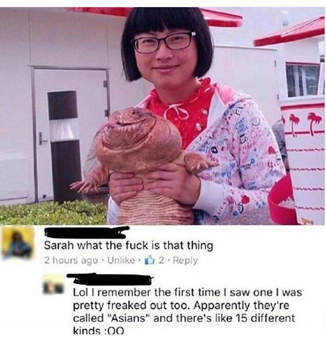 32 Irresistibly Funny Memes That Are Pure Comedy Gold 12 What is that thing - Irresistibly Funny Memes