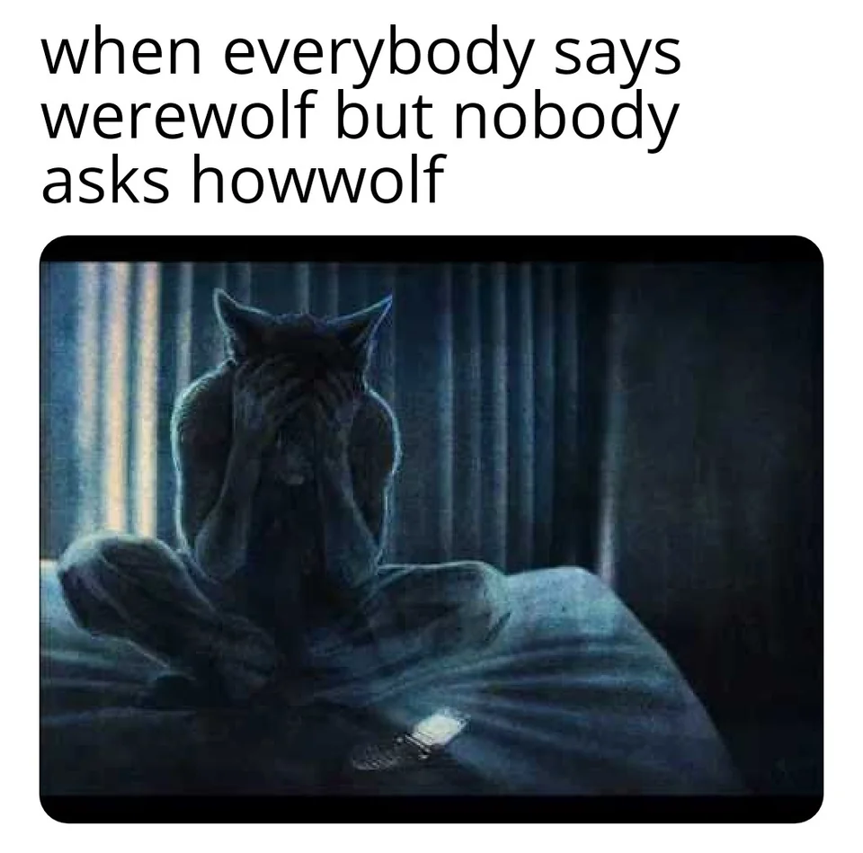 15 Wolf Memes That Will Make You Howl with Laughter 14 When evrybody says warewolf