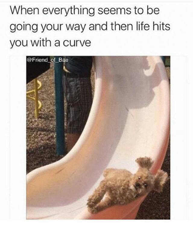 32 Irresistibly Funny Memes That Are Pure Comedy Gold 13 When life hits the curve - Irresistibly Funny Memes