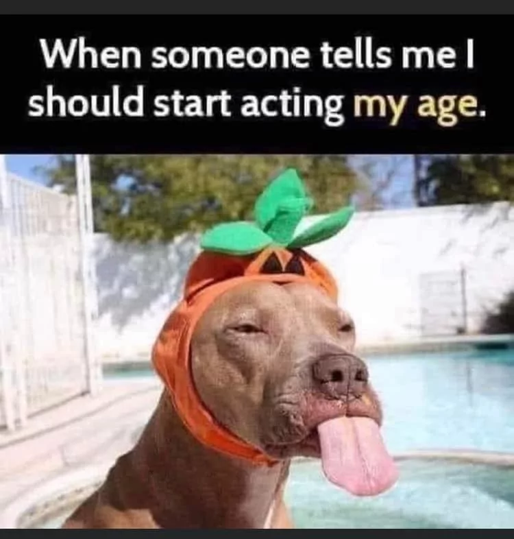 22 Pit Bull Memes for a Dose of Canine Comedy 17 When someone tells me start acting my age - Pit Bull Memes
