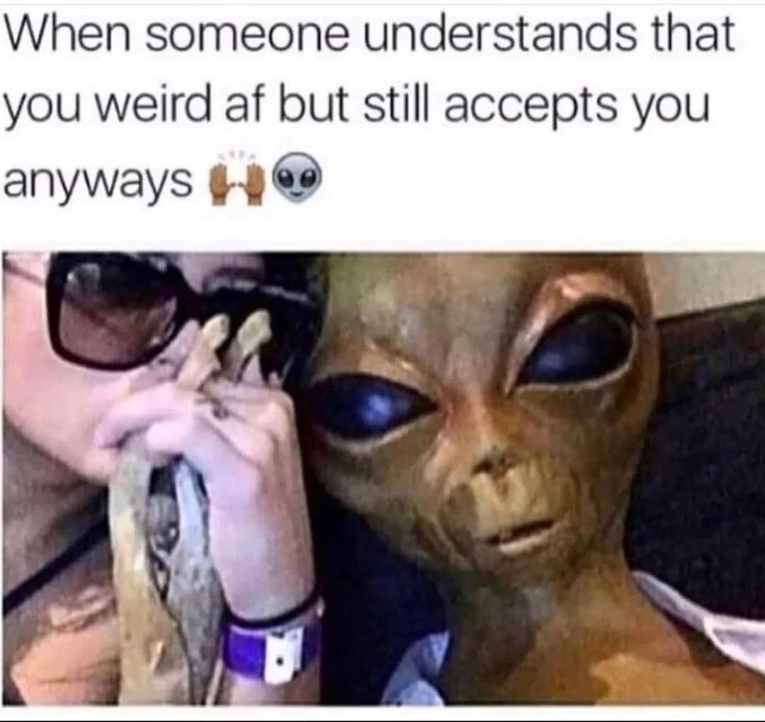 25 Quirky Humor Gems That Challenge Convention 19 Understands