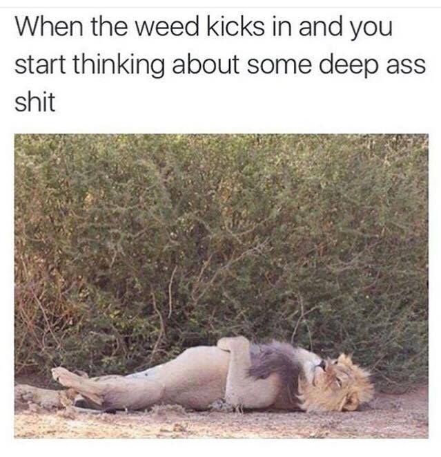 32 Irresistibly Funny Memes That Are Pure Comedy Gold 15 When the weed kicks in - Irresistibly Funny Memes