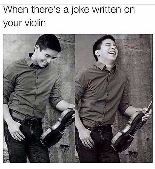 32 Irresistibly Funny Memes That Are Pure Comedy Gold 16 When theres a joke written on your violin - Irresistibly Funny Memes
