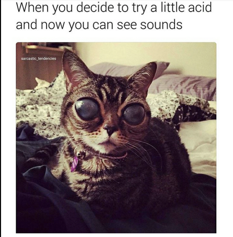 Random Humor A Day Keeps The Doctor Away 28 When you decide to try - Random Humor