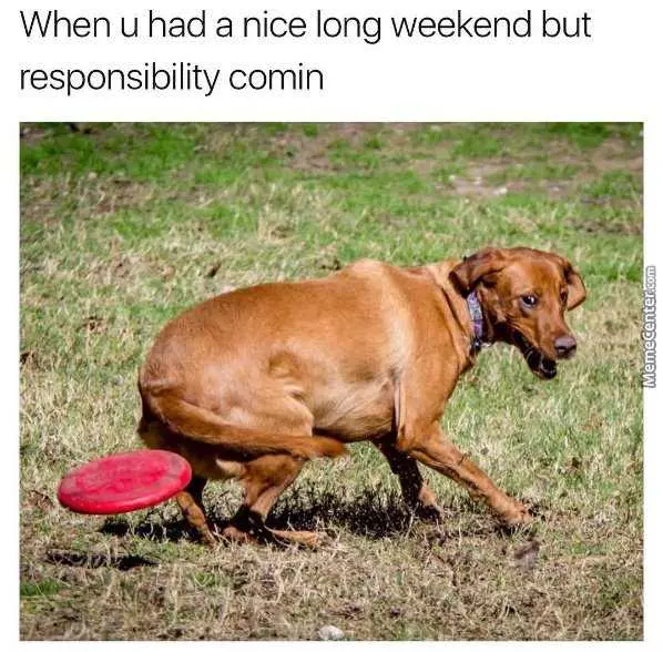 10 Labor Day Memes for a Relaxing Day Off 4 When you had a nice long weekened